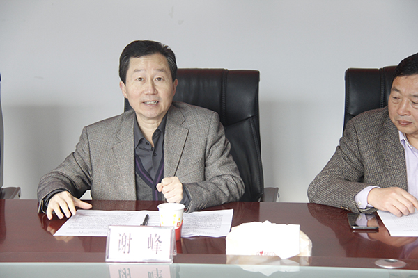 3党委书记谢峰在工作推进会上作重要讲话.JPG