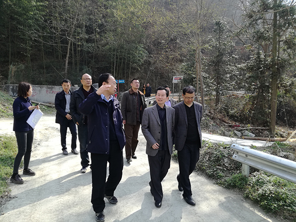 5校县镇领导深入岭岗村调研.jpg